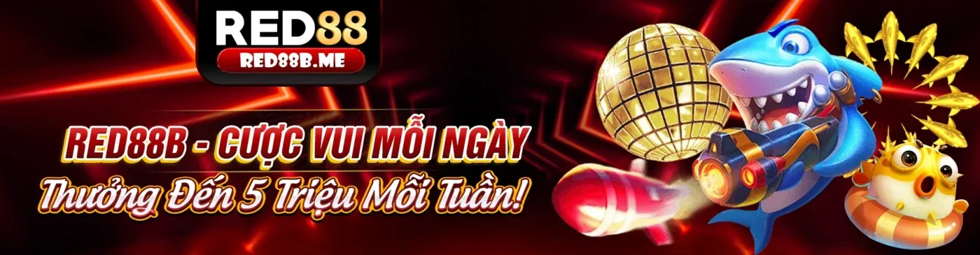 Điều kiện và điều khoản hoàn trả 99win